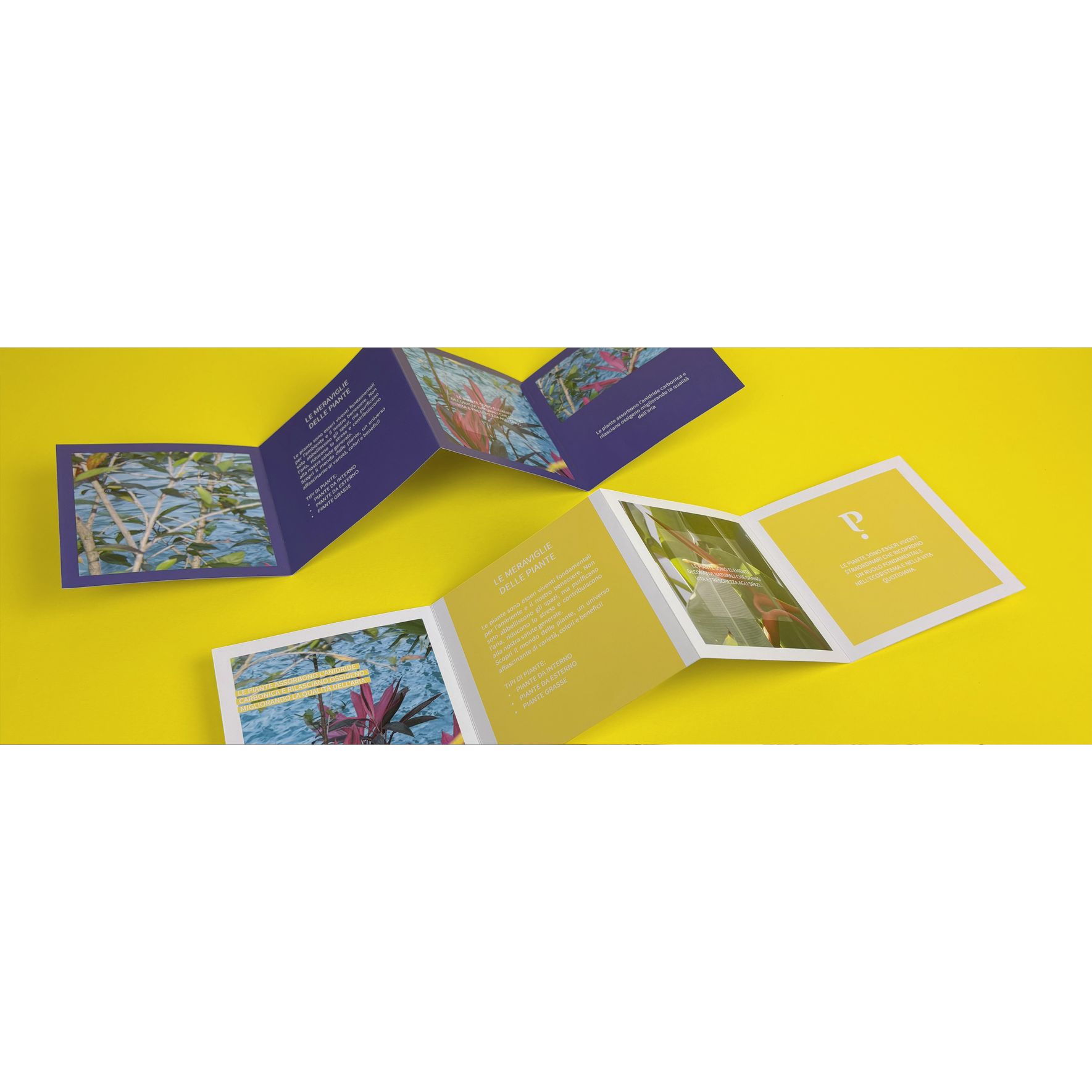 Brochure e Company Profile (pieghevoli)